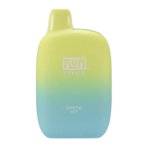 BUY 1 GET 1 FREE Arctic Icy FLUM Pebble