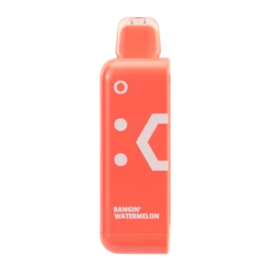 BUY 1 GET 1 FREE Bangin' Watermelon Off Stamp Classic Cube Pod