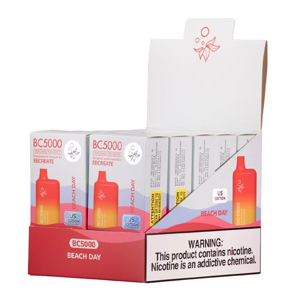 Beach Day BC5000 | Vape Collection - Image 2